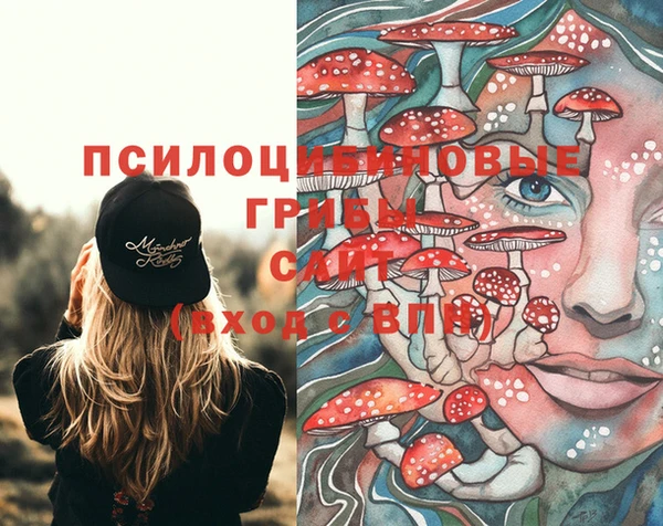 меф Гусев