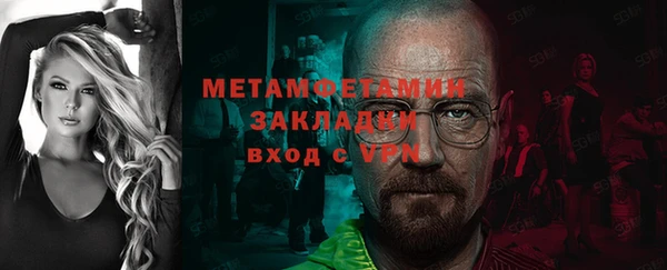 шишки Гусиноозёрск