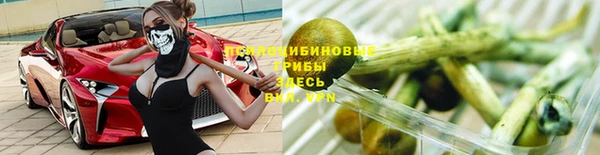 не бодяженный Гусь-Хрустальный