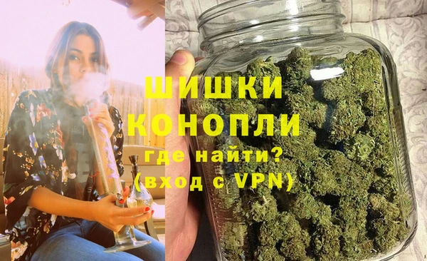 шишки Гусиноозёрск