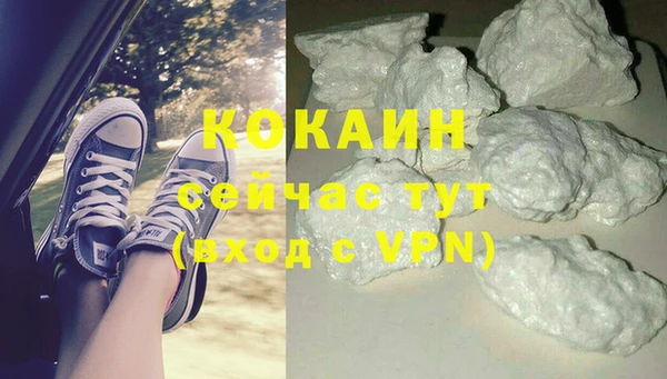 шишки Гусиноозёрск