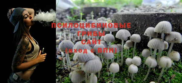 шишки Гусиноозёрск