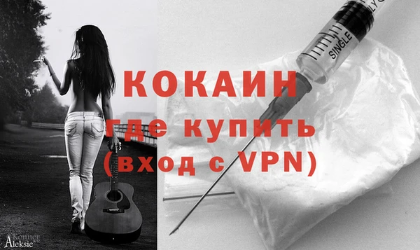 шишки Гусиноозёрск