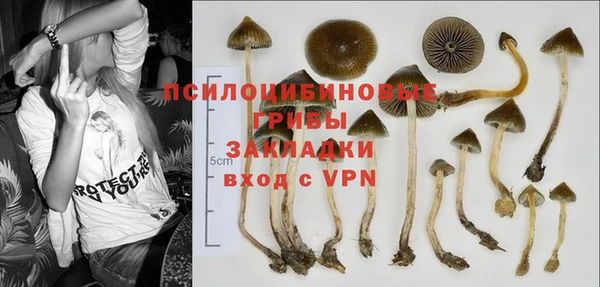не бодяженный Гусь-Хрустальный