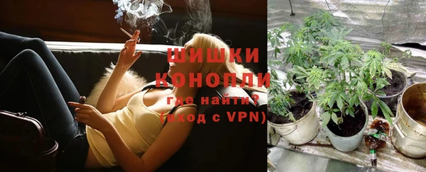 не бодяженный Гусь-Хрустальный