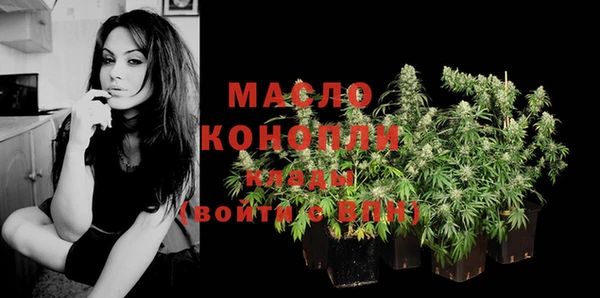 шишки Гусиноозёрск