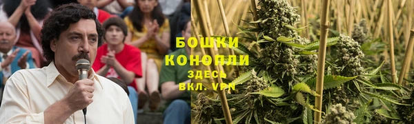 шишки Гусиноозёрск