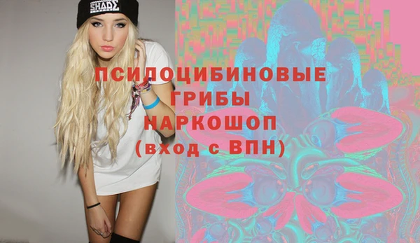 шишки Гусиноозёрск