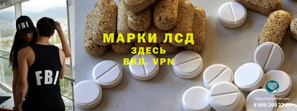 шишки Гусиноозёрск