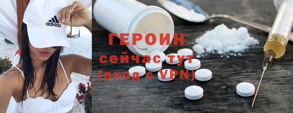 шишки Гусиноозёрск