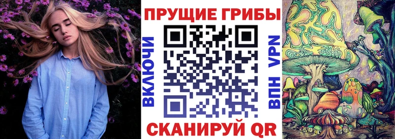 кракен как зайти  Дмитриев  Псилоцибиновые грибы MAGIC MUSHROOMS  купить закладку 